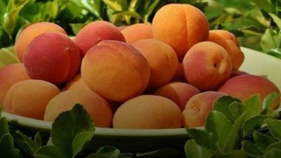 ما هي السكريات الصديقة لمريض السكر؟.. عليك بهذه الفواكه