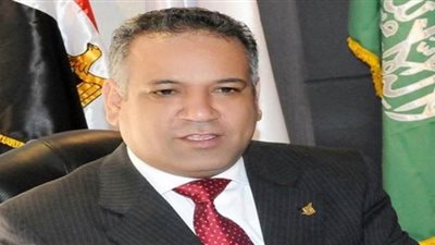 رجال الأعمال المصريين الأفارقة: ندعم تطبيق التحول الرقمي في القارة السمراء