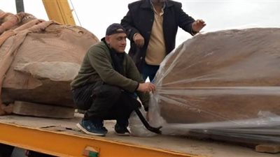 نقل قطع أثرية من منطقة آثار صان الحجر بالشرقية إلى المتحف المصري الكبير