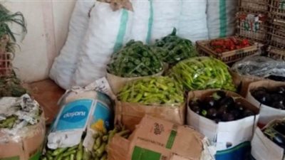 مبادرات شعبية تساهم في حل أزمة الأسواق المخالفة لقرارات الغلق بالقليوبية