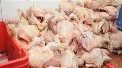 مصادرة نصف طن دواجن داخل ثلاجة فى أبو النمرس