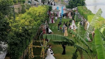 الأفراح في زمن الكورونا 