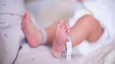 كشفها نباح كلاب.. العثور على جثة رضيع بصندوق قمامة في العمرانية