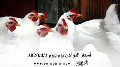 اسعار الدواجن يوم بيوم 2020/4/2