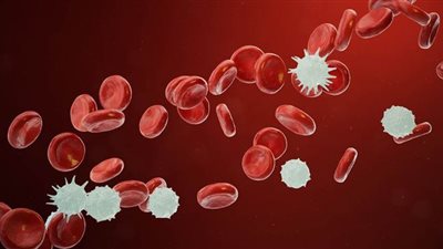 احذر.. الحمى المصاحبة لهذه الأعراض تدل على إصابتك بسرطان الدم