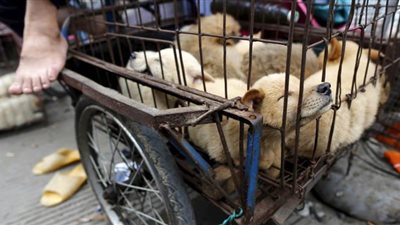 أول مدينة صينية .. 