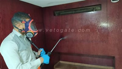 السياحة تنتهي من أعمال تعقيم وتطهير الفنادق بالأقصر وأسوان