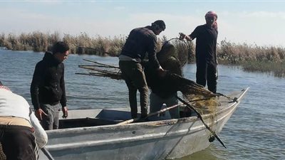 شرطة المسطحات تضبط 175 قضية متنوعة في المحافظات