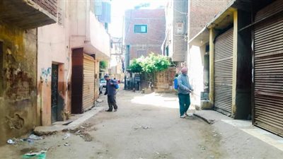 تطهير وتعقيم شوارع عزبة الترمس وسوق الجملة بالمنصورة