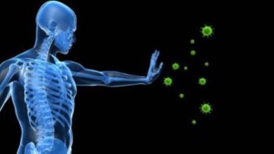 الصحة تنصح بتناول البطاطا لتقوية الجهاز المناعي