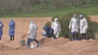 ردًا على المحافظ.. نائب بورسعيد يكشف تفاصيل صادمة في واقعة 