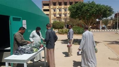 الوادي الجديد تفتتح 6 منافذ لبيع الخضروات والفاكهة بمدينة موط | صور