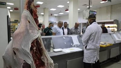 محافظ الوادي الجديد يوجه ببيع منتجات مشروعات العوينات بأسعار مخفضة | صور