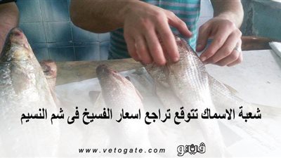 شعبة الأسماك تتوقع تراجع أسعار الفسيخ فى شم النسيم