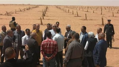 تدشين مزرعة نخيل نموذجية على مساحة 200 فدان بالوادى الجديد | صور