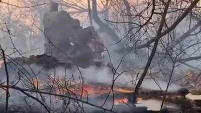 لحظة اندلاع حريق بالقرب من تشيرنوبل وارتفاع مستويات الإشعاع | فيديو