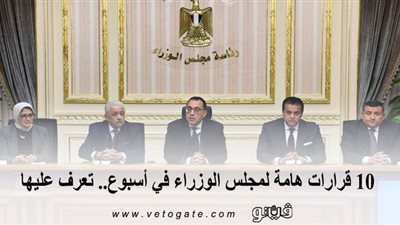 10 قرارات مهمة لمجلس الوزراء في أسبوع.. تعرف عليها | إنفوجراف