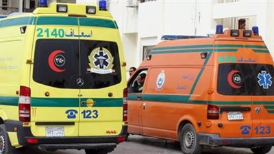 إصابة ١٤ عاملا في انقلاب سيارة بالإسكندرية