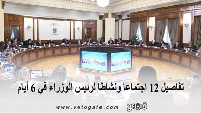 تفاصيل 12 اجتماعا ونشاطا لرئيس الوزراء في 6 أيام | انفوجراف