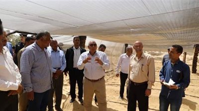 محافظ الوادي الجديد يفتتح صوبا زراعية من مخلفات النخيل l صور
