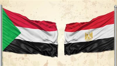 أكاديمي: 650 مليون دولار حجم التجارة بين مصر والسودان