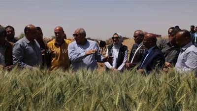 محافظ الوادي الجديد يتفقد مزرعة قمح نموذجية بالداخلة l صور