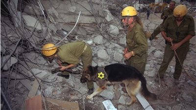 هزة أرضية تضرب شمال إسرائيل | فيديو