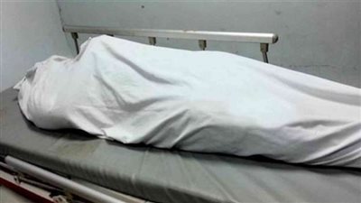  النيابة تكشف تفاصيل مثيرة في واقعة مقتل عامل مشتل بمصر القديمة