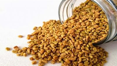 تفسير حلم الحلبة في المنام وعلاقته بالشفاء من الأمراض وزوال الهموم 