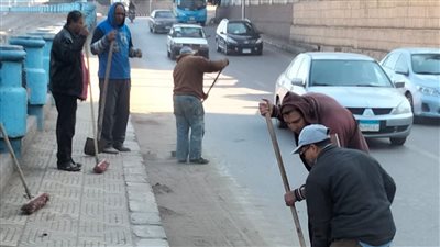 رفع 304 أطنان قمامة وأتربة من شوارع وميادين الدقهلية | صور 