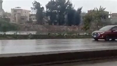 هطول أمطار غزيرة فى الدقهلية l فيديو