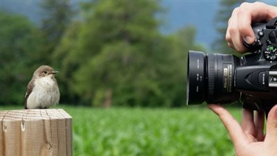 فتاة تجري حوارا تلفزيونيا مع الحيوانات | فيديو 