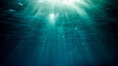 عملاق يخرج من البحر ويدمر كل شيء | فيديو 