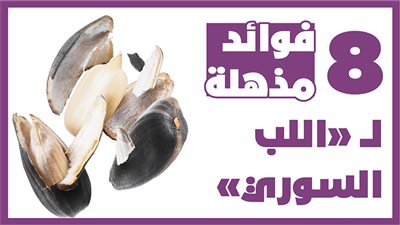 8 فوائد مذهلة لــ «اللب السوري»| انفوجراف
