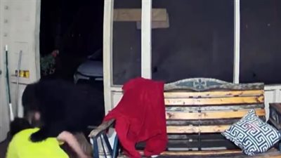 رجل شجاع يصارع دبا كاد يفتك بكلبه | فيديو