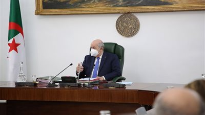 قضايا فلسطين وليبيا وسد النهضة والقمة العربية تتصدر مباحثات رئيس الجزائر في القاهرة