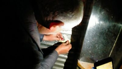 محافظ الإسكندرية يشدد على التعامل بحزم مع المخالفين للإجراءات الاحترازية 