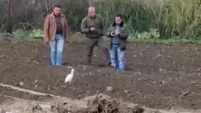 حقيقة تسريب غاز من الخط الرئيسي بطلخا في الدقهلية 