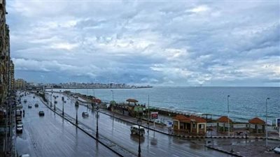 حالة الطقس غدا الثلاثاء ٢٥-١-٢٠٢٢ فى الاسكندرية