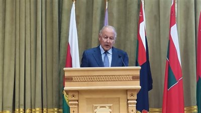 أبو الغيط: تضامن الدول العربية هو النجاة الوحيدة في مواجهة التهديدات الإقليمية والدولية