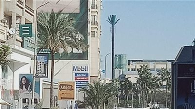 سطوع أشعة الشمس واستقرار الأحوال الجوية بالإسكندرية