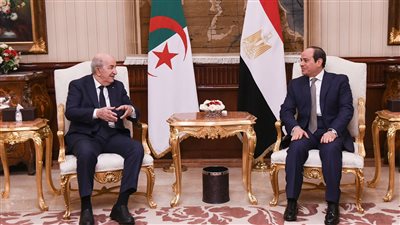 توافق مصري جزائري على الوصول إلى حل عادل شامل ودائم للقضية الفلسطينية وفقًا للمرجعيات الدولية