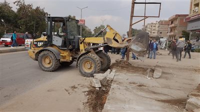 إزالة 30 مبنى مخالف وتعديات على أملاك الدولة بالحوامدية والصف| فيديو
