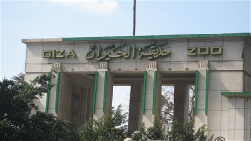 حديقة الحيوان بالجيزة