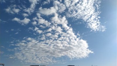 رغم سطوع الشمس.. الصقيع يضرب أسيوط والمحافظة تعلن الطوارئ | فيديو 