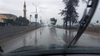 سقوط أمطار وطقس بارد في الدقهلية| فيديو وصور 