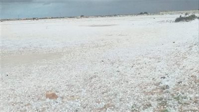 مشاهد من تساقط الثلوج على مدينة النجيلة غرب مطروح