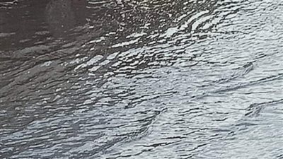 برك الأمطار تحاصر مدارس الإسكندرية | صور 