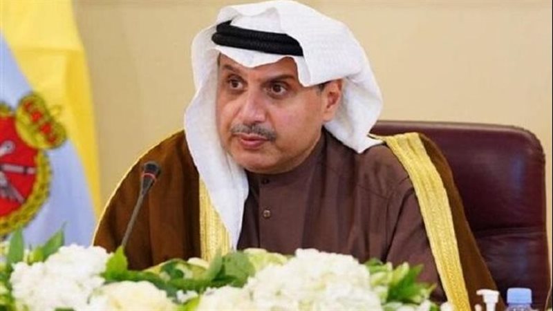 نائب رئيس مجلس الوزراء