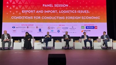 500 مليون دولار إجمالي الصادرات المصرية للبرازيل العام الماضي